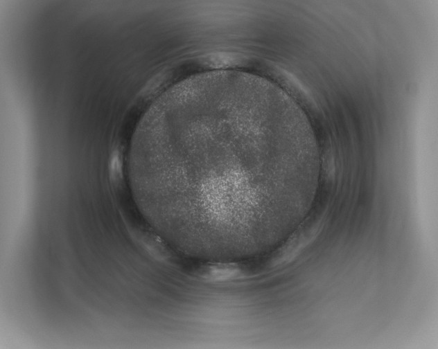 X0000110870214200907091408