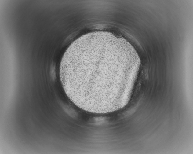 X0000110870216200907091408