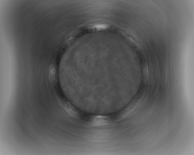 X0000110870222200907091408