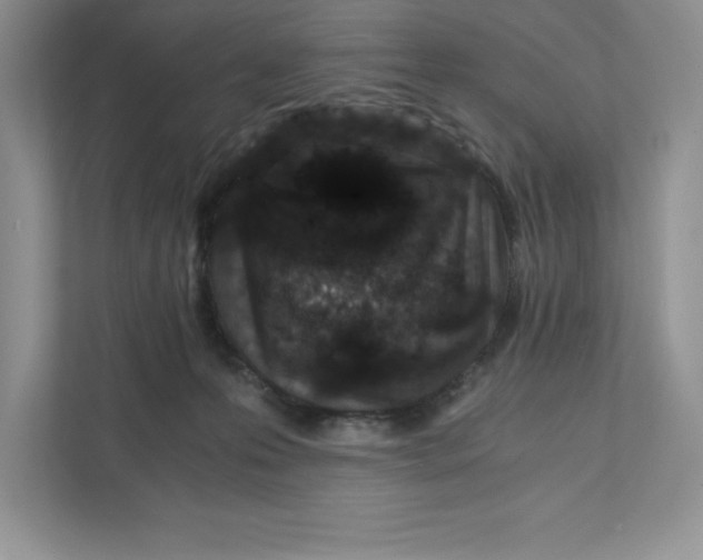 X0000110870223200907091408