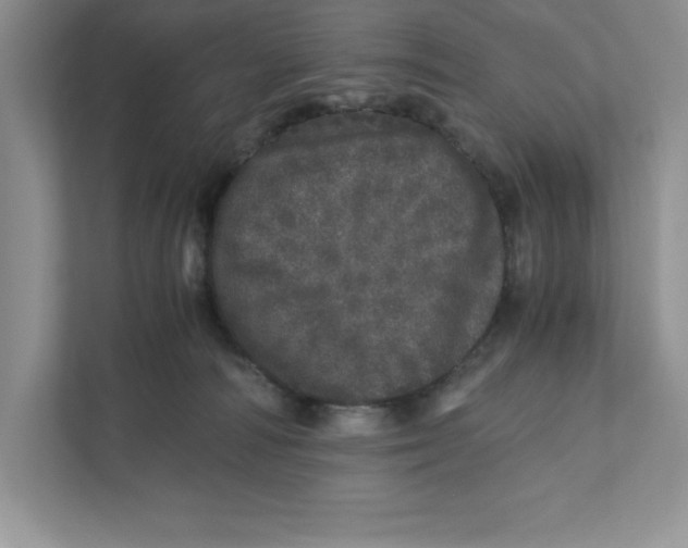 X0000110870226200907091408