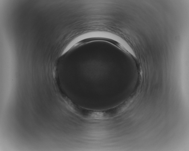 X0000110870227200907091408