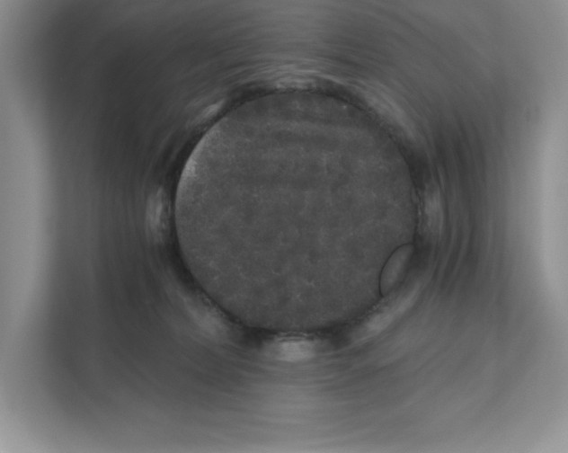 X0000110870228200907091408