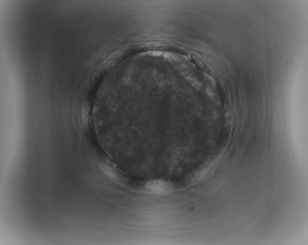 X0000110870231200907091407