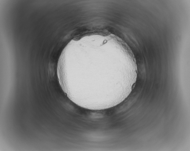 X0000110870232200907091407