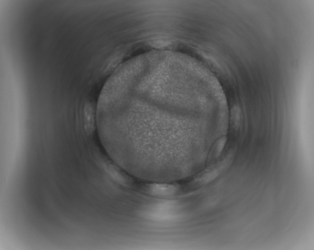 X0000110870234200907091407