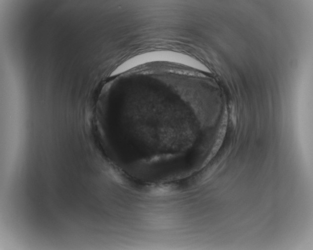 X0000110870235200907091407