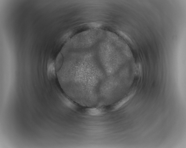 X0000110870238200907091407