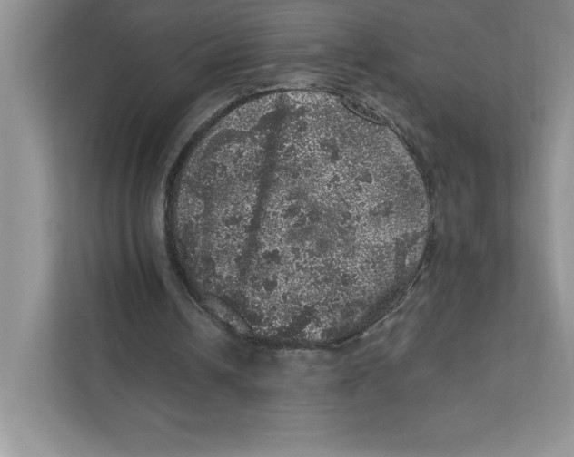 X0000110870242200907091407