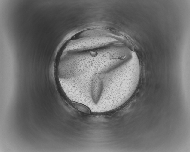 X0000110870244200907091407