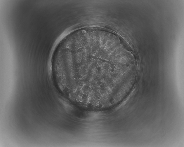 X0000110870246200907091407