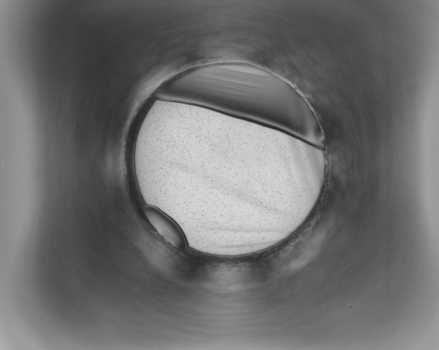 X0000110870248200907091407