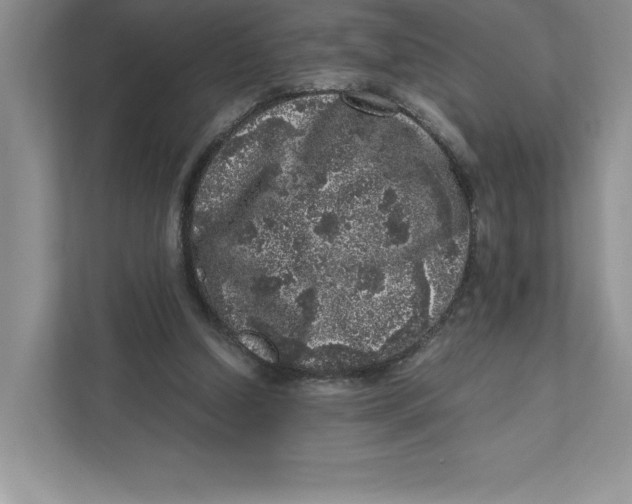 X0000110870250200907091407