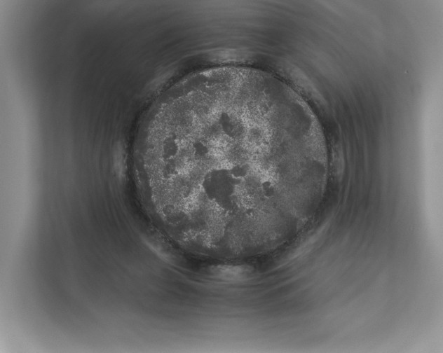 X0000110870255200907091407