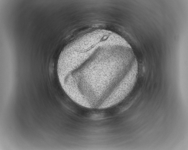 X0000110870263200907091407