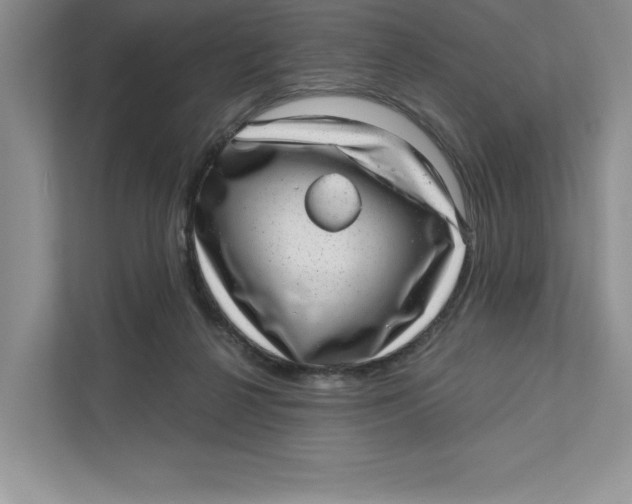 X0000110870264200907091407