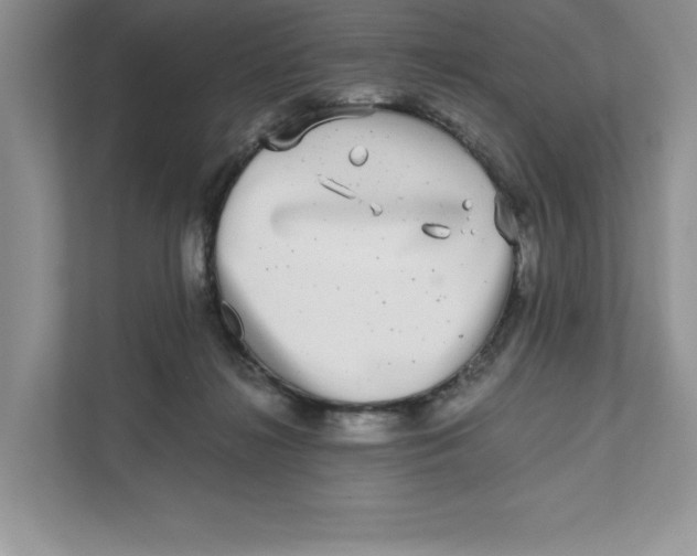 X0000110870268200907091407