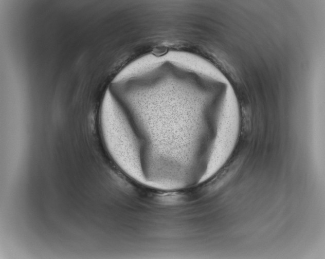 X0000110870269200907091407