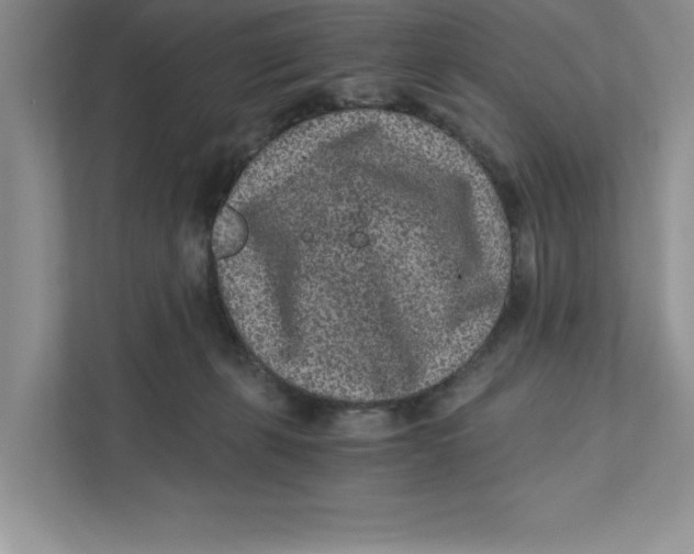 X0000110870271200907091407