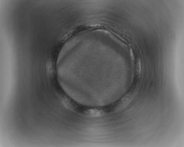 X0000110870272200907091407