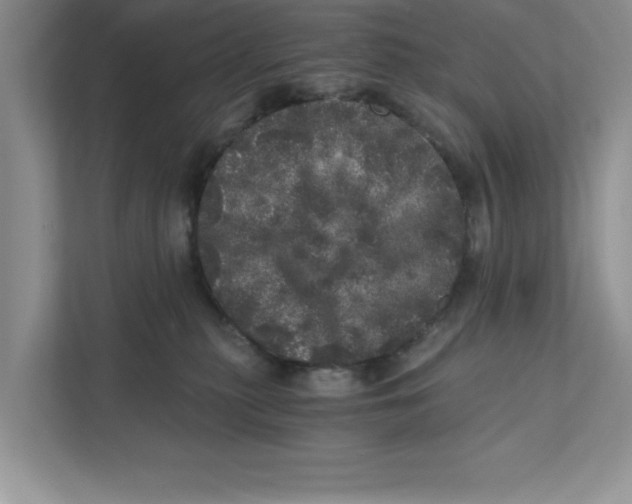 X0000110870279200907091407