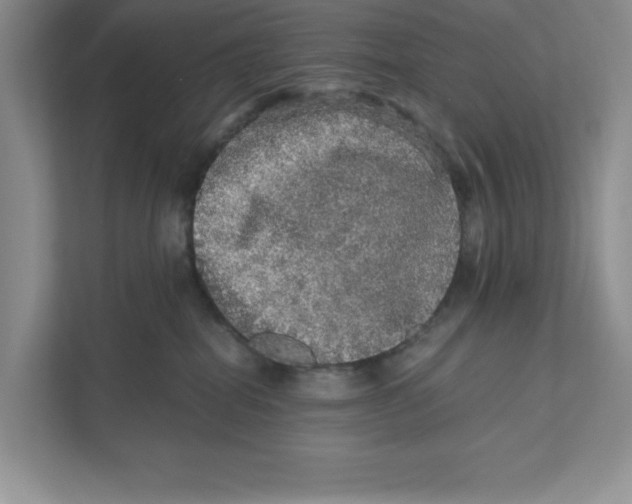 X0000110870282200907091407