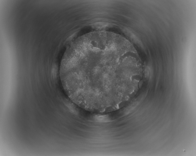 X0000110870283200907091407