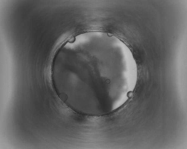 X0000110870293200907091407