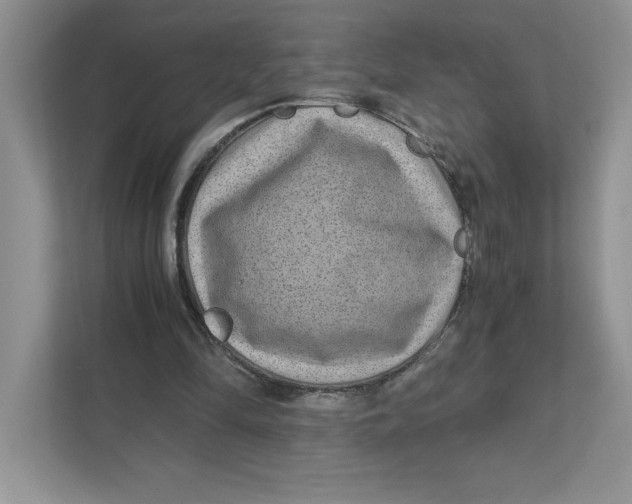 X0000110870294200907091407