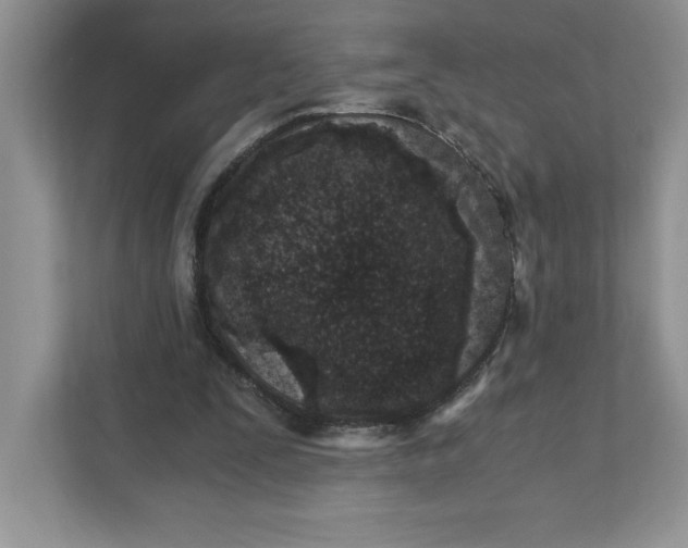 X0000110870295200907091407