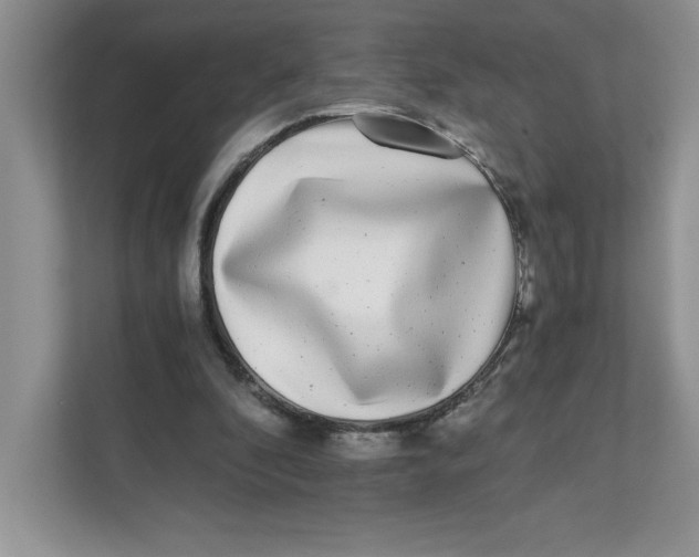 X0000110870296200907091407