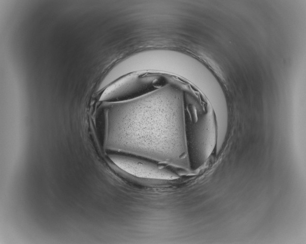 X0000110870305200907091407