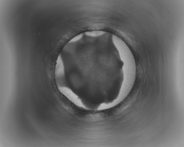 X0000110870307200907091406