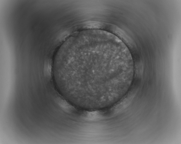 X0000110870309200907091406