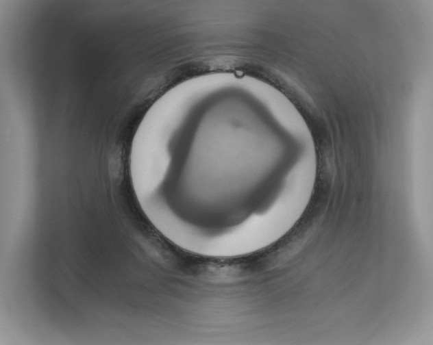 X0000110870311200907091406