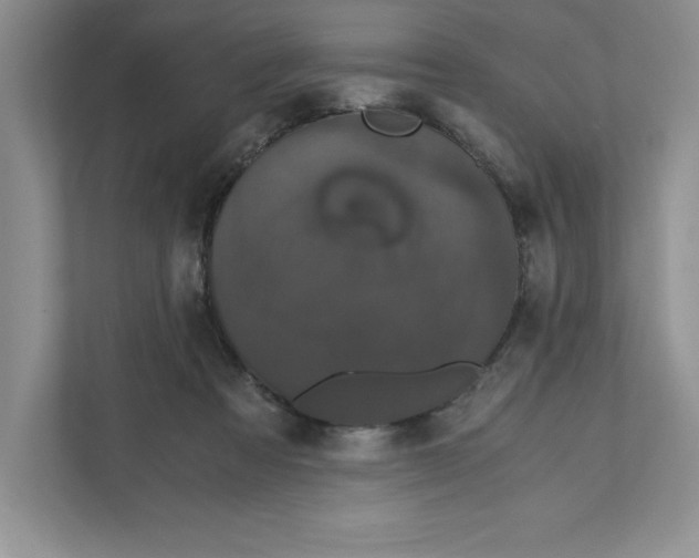 X0000110870313200907091406