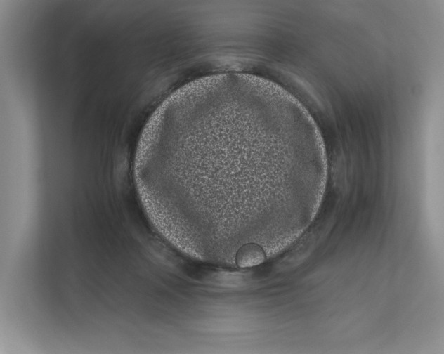 X0000110870314200907091406