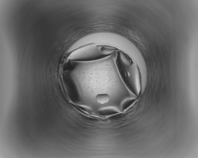 X0000110870317200907091406