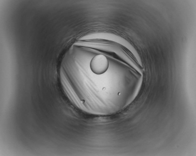 X0000110870320200907091406