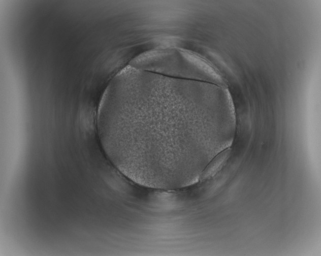 X0000110870325200907091406