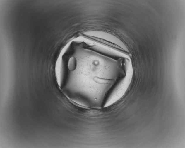 X0000110870327200907091406