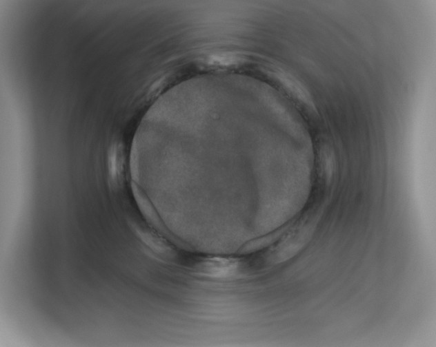 X0000110870328200907091406