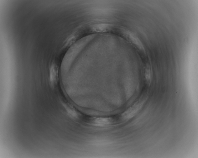 X0000110870332200907091406