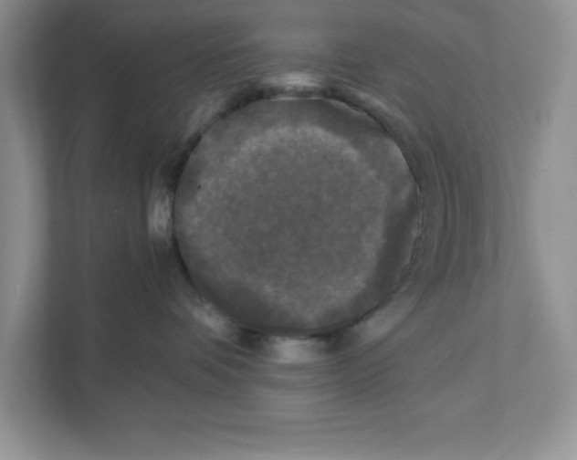 X0000110870336200907091406