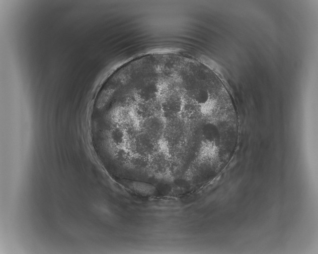 X0000110870337200907091405