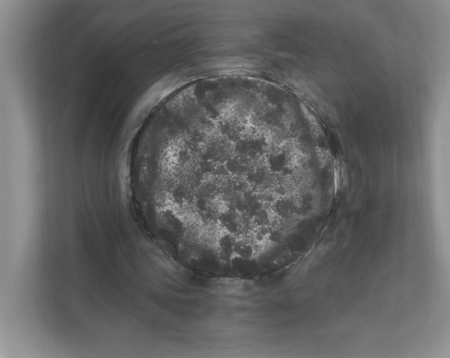 X0000110870339200907091406