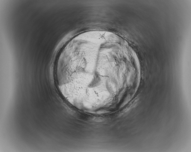 X0000110870341200907091406