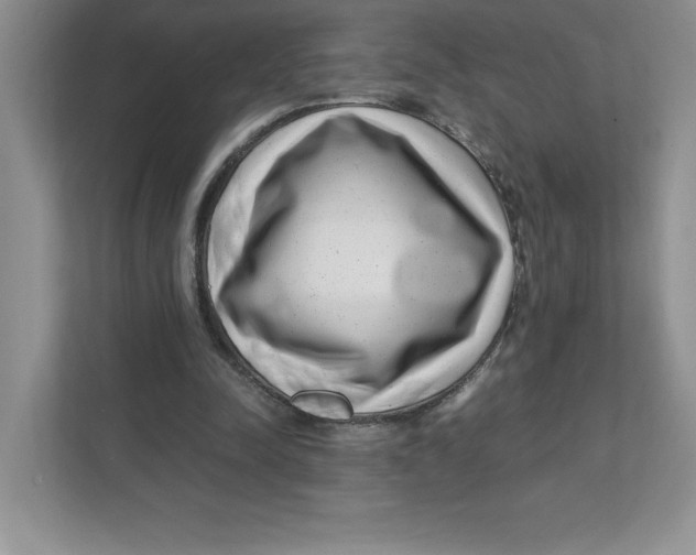 X0000110870342200907091406