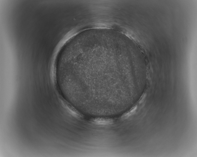 X0000110870343200907091406