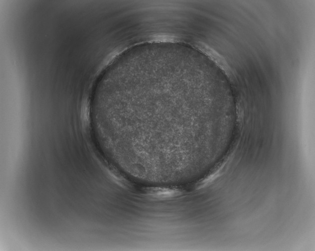 X0000110870347200907091406